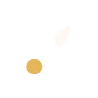 The Soft Revolution logo